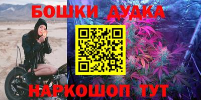 PSILOCYBIN Новодвинск