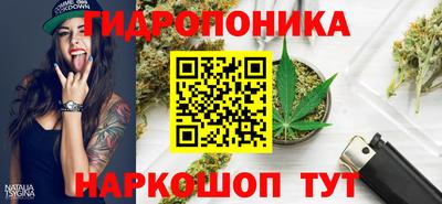 PSILOCYBIN Новодвинск