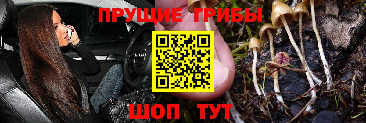 Псилоцибиновые грибы MAGIC MUSHROOMS  Вход с VPN  Тольятти 